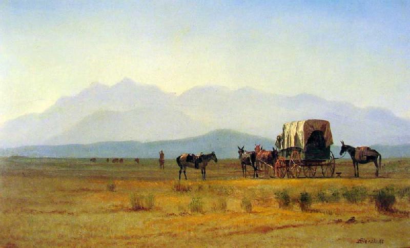 Albert Bierstadt Surveyor's Wagon in the Rockies Norge oil painting art